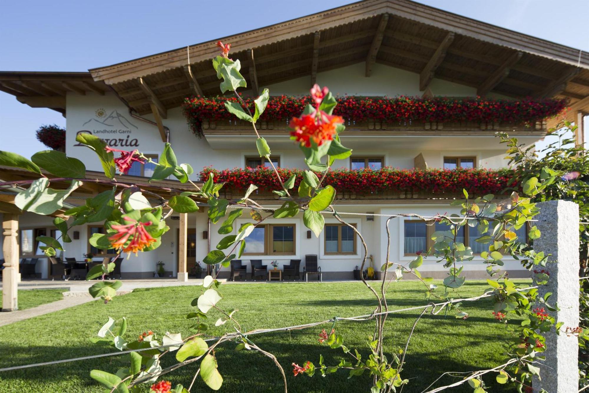 Hotel Garni Bavaria エルマウ エクステリア 写真